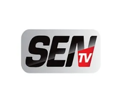 Logo 13