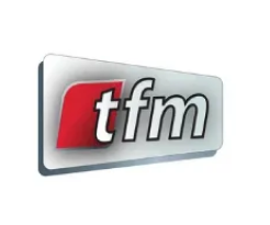 Logo 15