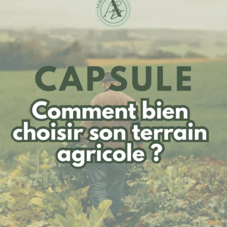 Choisir son terrain